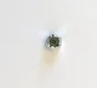 # 4-40 Nylon Insert Lock Nut (image for) # 4-40 Nylon Insert Lock Nut
